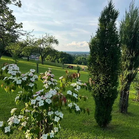 Ferienwohnung Dorner Spielfeld Exteriér fotografie