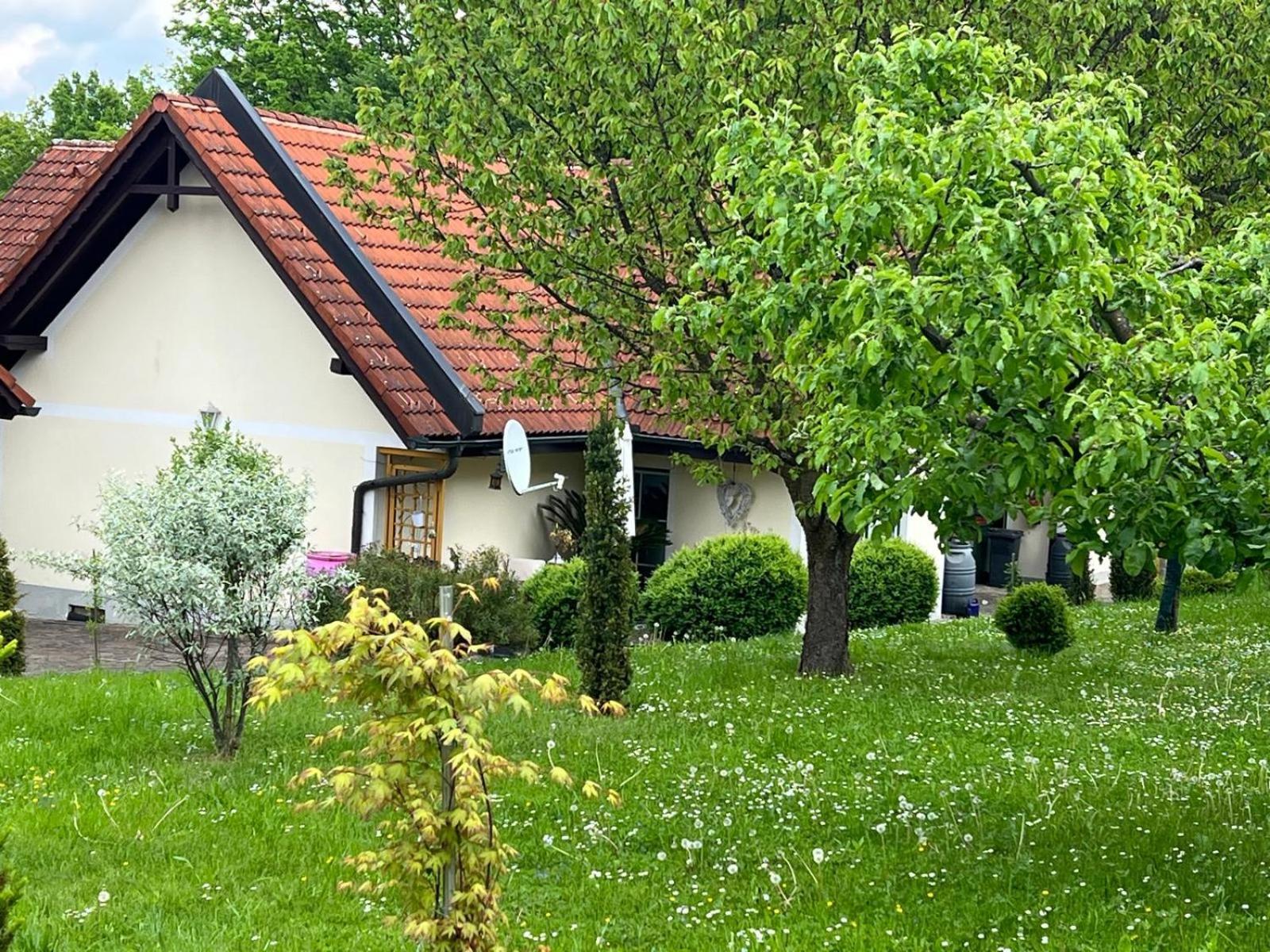 Dorner Apartment Spielfeld